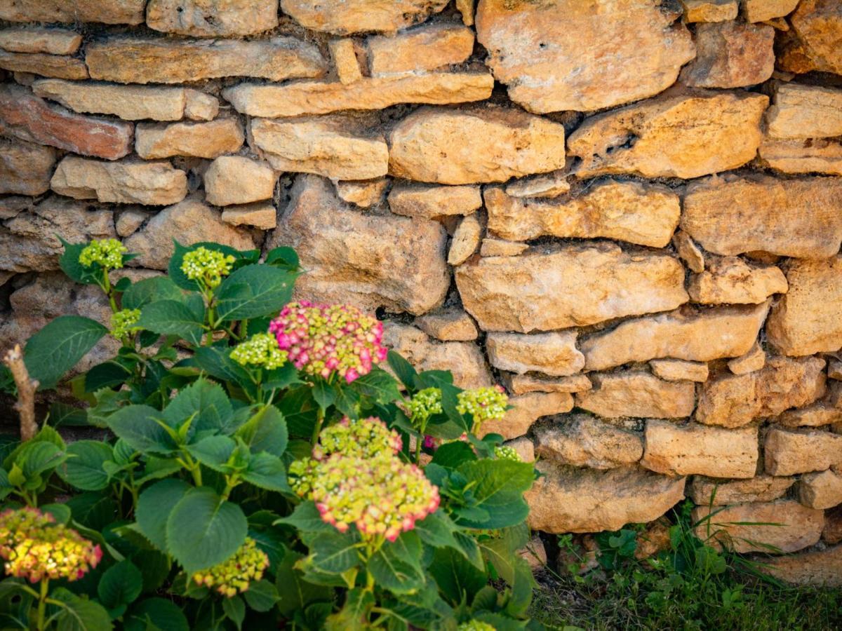 Gite Girou Haut Montcabrier  Exterior photo